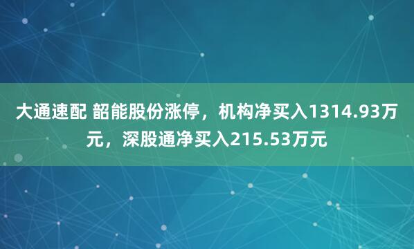 大通速配 韶能股份涨停，机构净买入1314.93万元，深股通净买入215.53万元