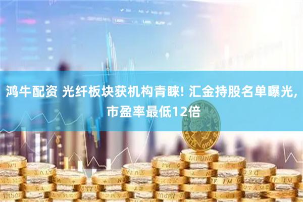 鸿牛配资 光纤板块获机构青睐! 汇金持股名单曝光, 市盈率最低12倍