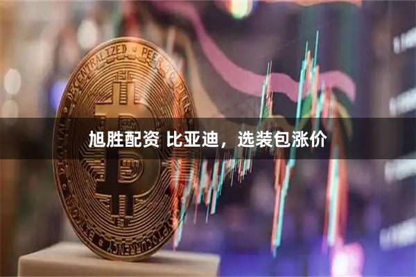 旭胜配资 比亚迪，选装包涨价