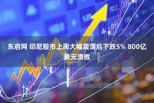 东启网 印尼股市上周大幅震荡后下跌5% 800亿美元溃败