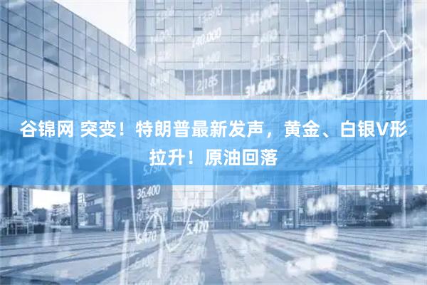 谷锦网 突变！特朗普最新发声，黄金、白银V形拉升！原油回落