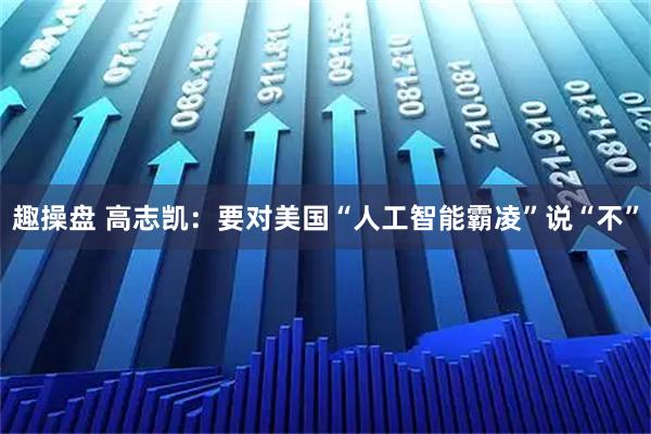 趣操盘 高志凯：要对美国“人工智能霸凌”说“不”